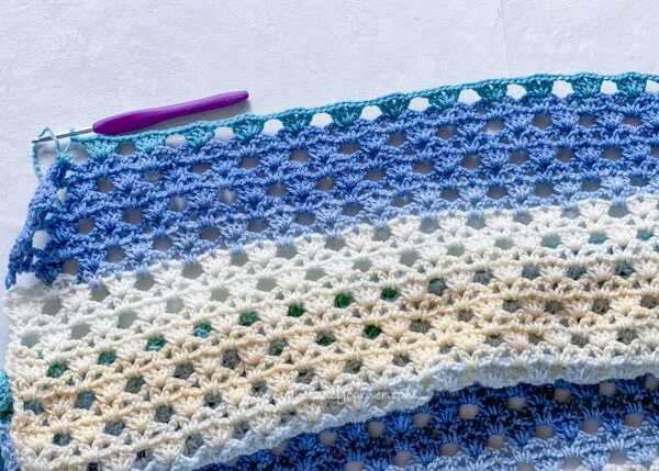 CrochetElimaScarfBorder